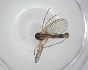  ( - CBG-A28498-D06)  @11 [ ] CreativeCommons - Attribution Share - Alike (2024) Centre for Biodiversity Genomics Centre for Biodiversity Genomics