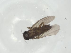  ( - CBG-A28509-D07)  @11 [ ] CreativeCommons - Attribution Share - Alike (2024) Centre for Biodiversity Genomics Centre for Biodiversity Genomics