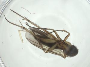  ( - CBG-A28512-H01)  @11 [ ] CreativeCommons - Attribution Share - Alike (2024) Centre for Biodiversity Genomics Centre for Biodiversity Genomics