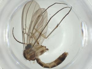  ( - CBG-A28515-B08)  @11 [ ] CreativeCommons - Attribution Share - Alike (2024) Centre for Biodiversity Genomics Centre for Biodiversity Genomics