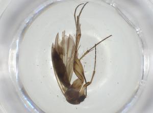  ( - CBG-A28516-E07)  @11 [ ] CreativeCommons - Attribution Share - Alike (2024) Centre for Biodiversity Genomics Centre for Biodiversity Genomics