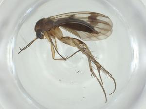  ( - CBG-A28522-B10)  @11 [ ] CreativeCommons - Attribution Share - Alike (2024) Centre for Biodiversity Genomics Centre for Biodiversity Genomics