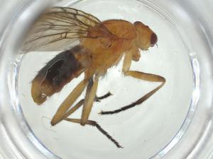  ( - CBG-A28529-E01)  @11 [ ] CreativeCommons - Attribution Share - Alike (2024) Centre for Biodiversity Genomics Centre for Biodiversity Genomics