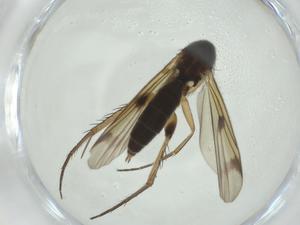  ( - CBG-A28535-C07)  @11 [ ] CreativeCommons - Attribution Share - Alike (2024) Centre for Biodiversity Genomics Centre for Biodiversity Genomics