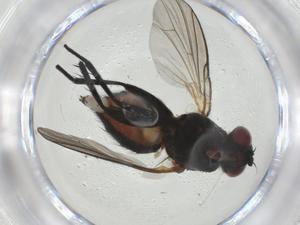  ( - CBG-A28538-F10)  @11 [ ] CreativeCommons - Attribution Share - Alike (2024) Centre for Biodiversity Genomics Centre for Biodiversity Genomics