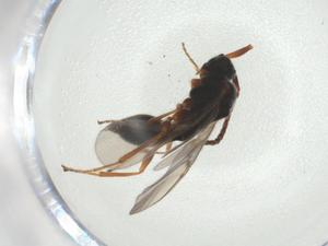  ( - CBG-A28543-E04)  @11 [ ] CreativeCommons - Attribution Share - Alike (2024) Centre for Biodiversity Genomics Centre for Biodiversity Genomics