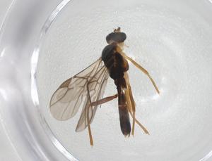  ( - CBG-A28544-G10)  @11 [ ] CreativeCommons - Attribution Share - Alike (2024) Centre for Biodiversity Genomics Centre for Biodiversity Genomics