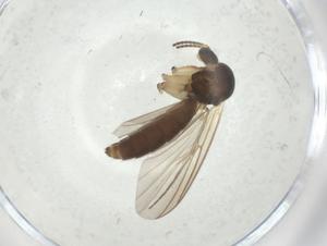  ( - CBG-A28546-B06)  @11 [ ] CreativeCommons - Attribution Share - Alike (2024) Centre for Biodiversity Genomics Centre for Biodiversity Genomics