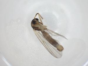  ( - CBG-A28547-B10)  @11 [ ] CreativeCommons - Attribution Share - Alike (2024) Centre for Biodiversity Genomics Centre for Biodiversity Genomics