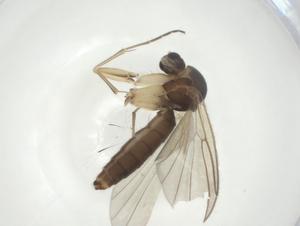  ( - CBG-A28549-C05)  @11 [ ] CreativeCommons - Attribution Share - Alike (2024) Centre for Biodiversity Genomics Centre for Biodiversity Genomics