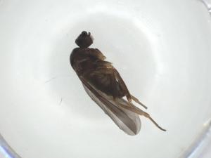  ( - CBG-A28549-E07)  @11 [ ] CreativeCommons - Attribution Share - Alike (2024) Centre for Biodiversity Genomics Centre for Biodiversity Genomics