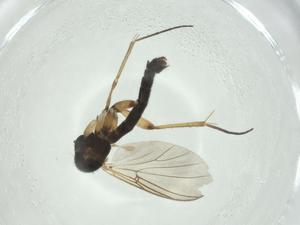  ( - CBG-A28554-D02)  @11 [ ] CreativeCommons - Attribution Share - Alike (2024) Centre for Biodiversity Genomics Centre for Biodiversity Genomics