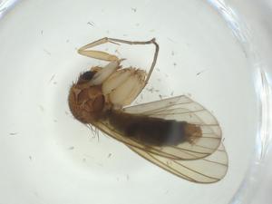  ( - CBG-A28902-C02)  @11 [ ] CreativeCommons - Attribution Share - Alike (2024) Centre for Biodiversity Genomics Centre for Biodiversity Genomics