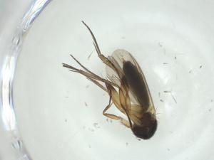  ( - CBG-A28902-G09)  @11 [ ] CreativeCommons - Attribution Share - Alike (2024) Centre for Biodiversity Genomics Centre for Biodiversity Genomics