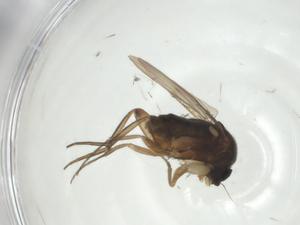  ( - CBG-A28904-H04)  @11 [ ] CreativeCommons - Attribution Share - Alike (2024) Centre for Biodiversity Genomics Centre for Biodiversity Genomics