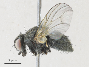  ( - CBG-A30017-E09)  @11 [ ] CreativeCommons - Attribution Share - Alike (2024) CBG Photography Group Centre for Biodiversity Genomics