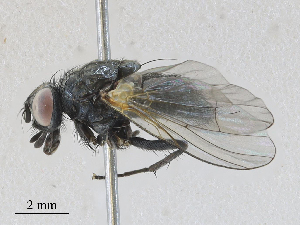  ( - CBG-A30017-F03)  @11 [ ] CreativeCommons - Attribution Share - Alike (2024) CBG Photography Group Centre for Biodiversity Genomics