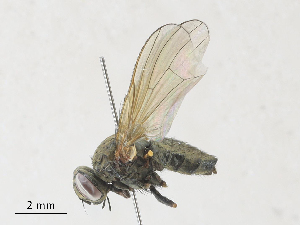  ( - CBG-A30021-F11)  @11 [ ] CreativeCommons - Attribution Share - Alike (2024) CBG Photography Group Centre for Biodiversity Genomics