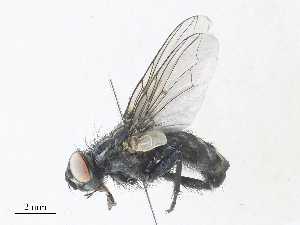  ( - CBG-A30022-E10)  @11 [ ] CreativeCommons - Attribution Share - Alike (2024) CBG Photography Group Centre for Biodiversity Genomics