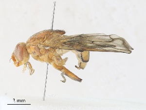  ( - CBG-A30022-F05)  @11 [ ] CreativeCommons - Attribution Share - Alike (2024) CBG Photography Group Centre for Biodiversity Genomics