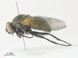  ( - CBG-A30022-F07)  @11 [ ] CreativeCommons - Attribution Share - Alike (2024) CBG Photography Group Centre for Biodiversity Genomics