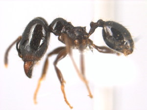  ( - 08COSTA-1891)  @13 [ ] Unspecified (default): All Rights Reserved  Unspecified Unspecified