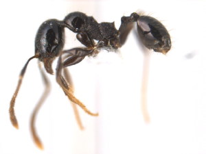  ( - 10COSTA-0579)  @13 [ ] Unspecified (default): All Rights Reserved  Unspecified Unspecified