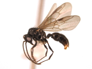  ( - 08COSTA-0328)  @14 [ ] Unspecified (default): All Rights Reserved  Unspecified Unspecified