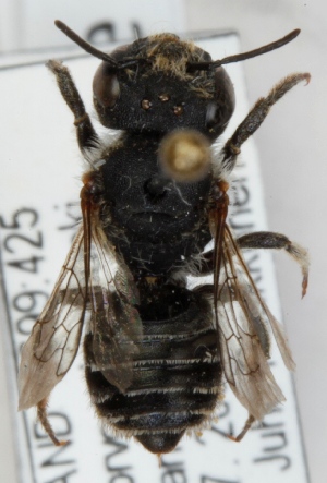  ( - FACU-000090)  @13 [ ] CreativeCommons - Attribution Non-Commercial (2012) Marko Mutanen University of Oulu