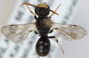  ( - FACU-001045)  @13 [ ] CreativeCommons - Attribution Non-Commercial (2012) Marko Mutanen University of Oulu