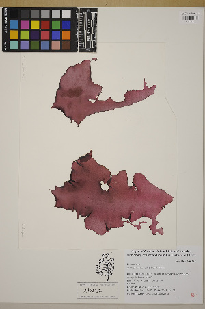  ( - SCL15442)  @11 [ ] CreativeCommons Attribution Non-Commercial No Derivatives (2019) Sandra Lindstrom University of British Columbia