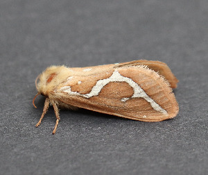  ( - AKLEP896)  @11 [ ] CreativeCommons  Attribution Non-Commercial Share-Alike (2025) Jason Grant Universit&eacute; de Neuch&acirc;tel, Switzerland