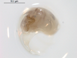  ( - 11BIOAK-0410)  @12 [ ] CreativeCommons - Attribution  Unspecified Centre for Biodiversity Genomics