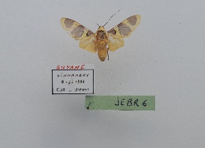  ( - JEBR6)  @11 [ ] copyright (2025) Jean Breard Unspecified