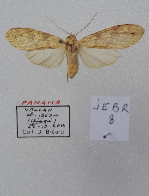  ( - JEBR8)  @11 [ ] copyright (2025) Jean Breard Unspecified