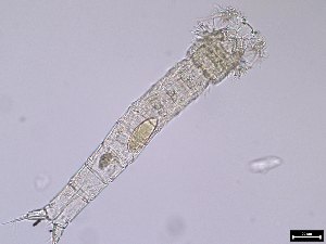  ( - 1665_14-7-94)  @11 [ ] Unspecified (default): All Rights Reserved  Unspecified Unspecified