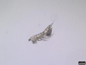  ( - 1053_9-5-44)  @11 [ ] Unspecified (default): All Rights Reserved  Frederic Bonk Unspecified
