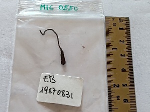  ( - BGE_00474_F11)  @11 [ ] Copyright (2025) Unspecified University of Trento