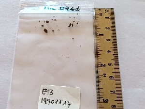  (Marasmius quisquiliaris - BGE_00476_F12)  @11 [ ] Copyright (2025) Unspecified University of Trento