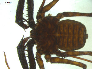  ( - AcAT 2009-3798-01)  @12 [ ] CreativeCommons - Attribution (2010) CBG Photography Group Centre for Biodiversity Genomics