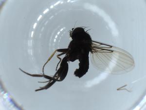  ( - BIOUG55476-A07)  @11 [ ] CreativeCommons - Attribution (2020) Centre for Biodiversity Genomics Centre for Biodiversity Genomics