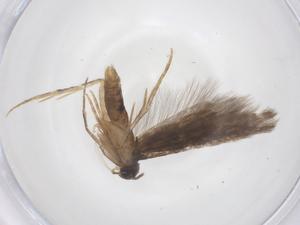  ( - CBG-A61322-A09)  @11 [ ] CreativeCommons - Attribution Share - Alike (2025) Centre for Biodiversity Genomics Centre for Biodiversity Genomics