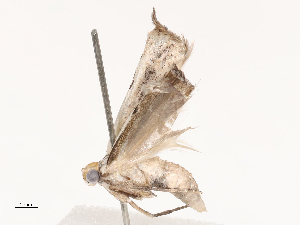  ( - CBG-B04792-B08)  @11 [ ] CreativeCommons - Attribution Share - Alike (2025) CBG Photography Group Centre for Biodiversity Genomics