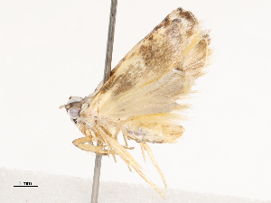  ( - CBG-B04792-G02)  @11 [ ] CreativeCommons - Attribution Share - Alike (2025) CBG Photography Group Centre for Biodiversity Genomics