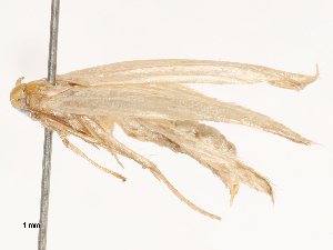  ( - CBG-B04792-G04)  @11 [ ] CreativeCommons - Attribution Share - Alike (2025) CBG Photography Group Centre for Biodiversity Genomics