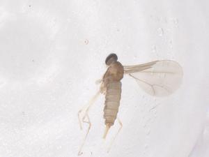  ( - CBG-B04891-B11)  @11 [ ] CreativeCommons - Attribution Share - Alike (2025) Centre for Biodiversity Genomics Centre for Biodiversity Genomics