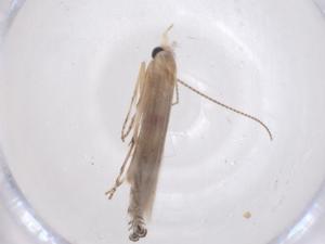  ( - CBG-B04892-C02)  @11 [ ] CreativeCommons - Attribution Share - Alike (2025) Centre for Biodiversity Genomics Centre for Biodiversity Genomics