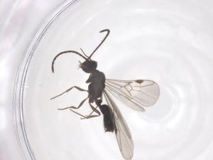  ( - CBG-B22052-H10)  @11 [ ] CreativeCommons - Attribution Share - Alike (2025) Centre for Biodiversity Genomics Centre for Biodiversity Genomics