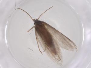  ( - CBG-B23756-D08)  @11 [ ] CreativeCommons - Attribution Share - Alike (2025) Centre for Biodiversity Genomics Centre for Biodiversity Genomics