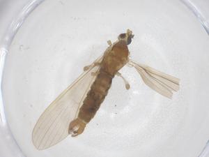  ( - CBG-B00147-F03)  @11 [ ] CreativeCommons - Attribution Share - Alike (2025) Centre for Biodiversity Genomics Centre for Biodiversity Genomics